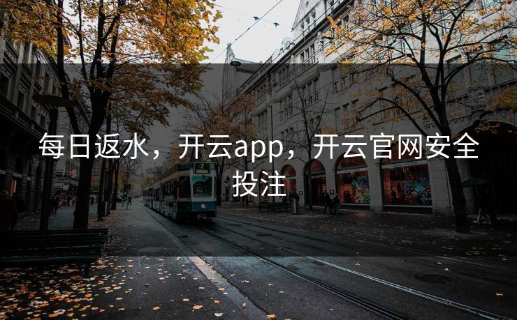每日返水，开云app，开云官网安全投注