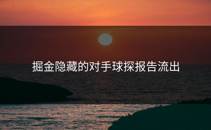 掘金隐藏的对手球探报告流出
